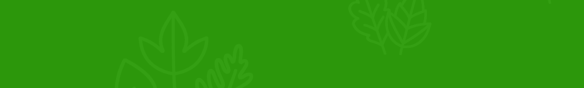Desktop Header